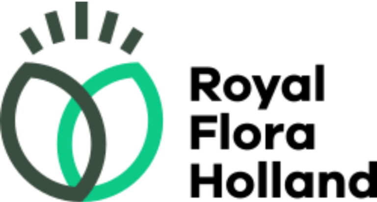 logo1